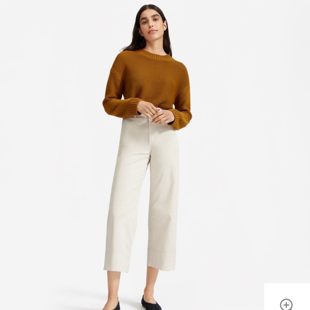 Rust Crewneck Everlane Sweater